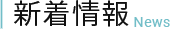 レイヤー 19
